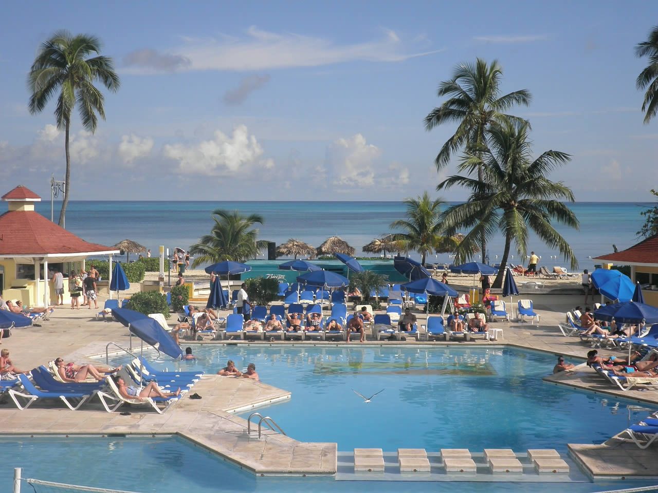 Outdoor resort swimming pool with sun loungers and blue parasols beside the sea, with palm trees and people relaxing in the sunshine