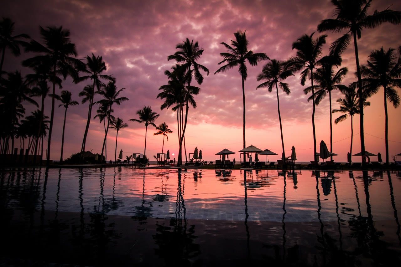 Silhouetted palm trees and poolside parasols reflected in a calm swimming pool at sunset with a pink and purple sky