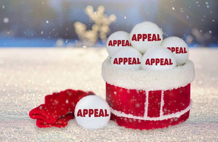 Snowballs labelled “APPEAL” stacked in a red bucket on snowy ground with red mittens nearby