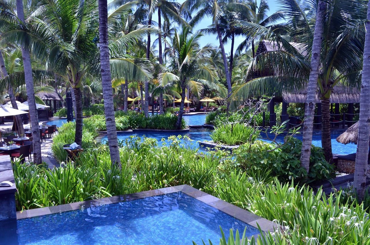 Tropical resort swimming pool surrounded by palm trees, lush gardens and sun umbrellas on a bright day
