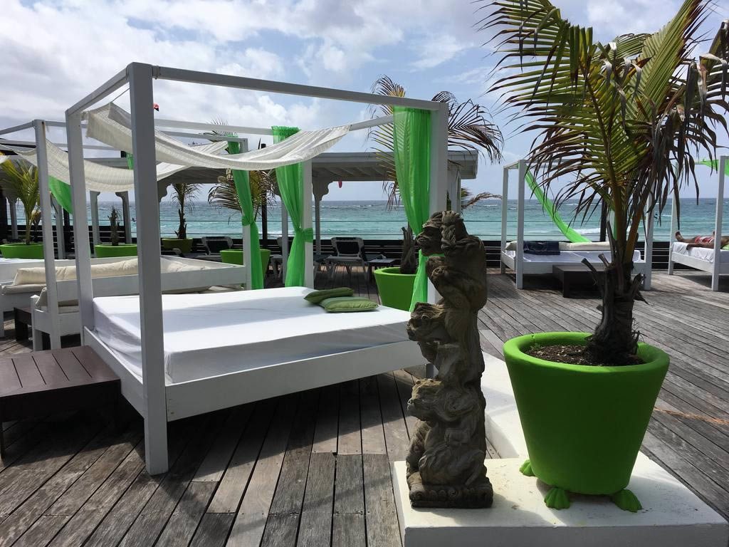 Beachfront resort deck with white canopy daybeds, green drapes and large potted palm trees overlooking the sea in Tenerife
