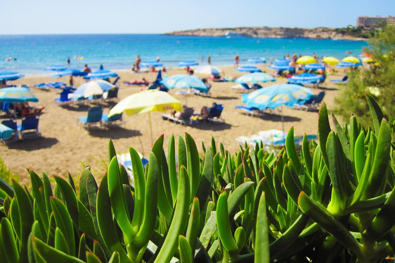 Succulent green plants in the foreground overlooking a sunny beach with blue parasols and people by the sea in Spain