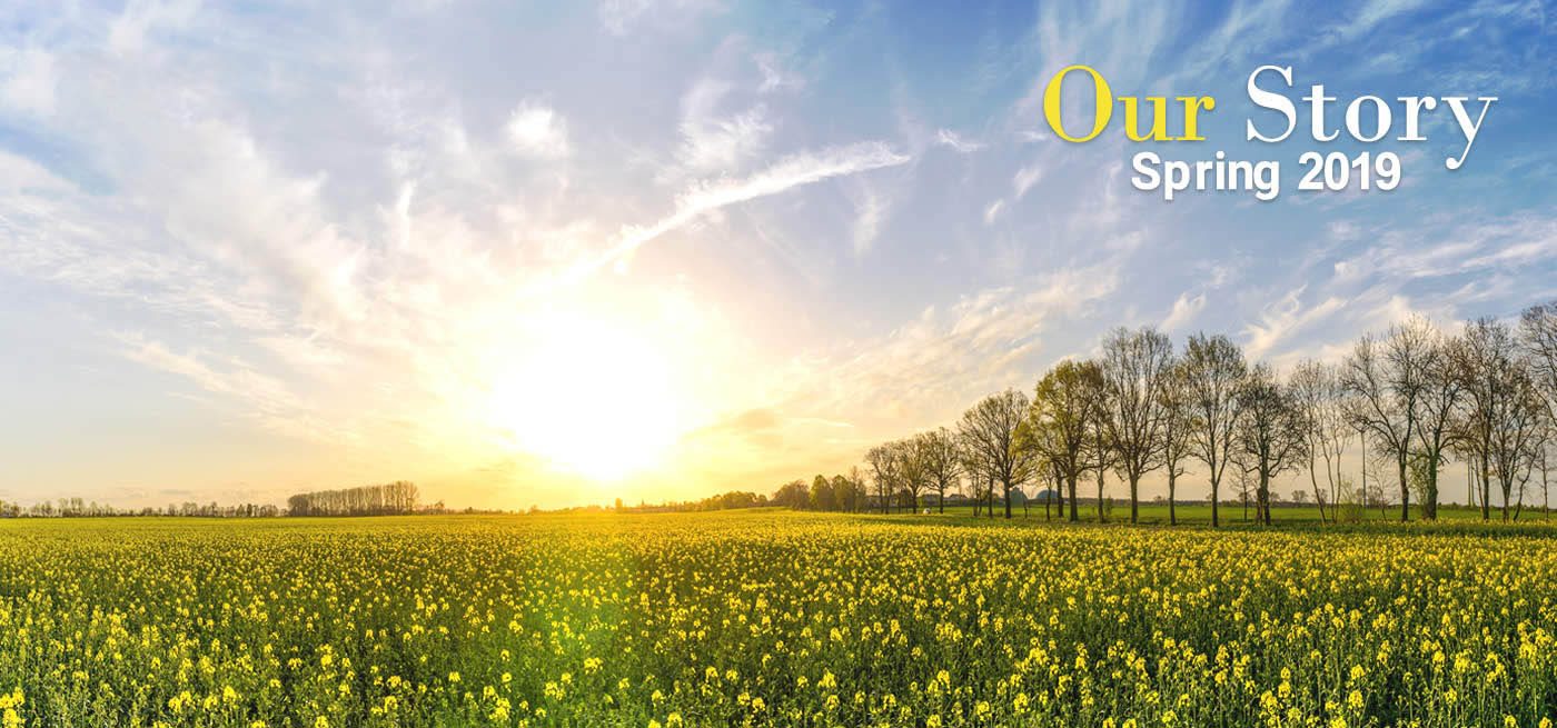 Sunrise over a yellow flower field with a line of trees on the horizon and the text “Our Story Spring 2019”