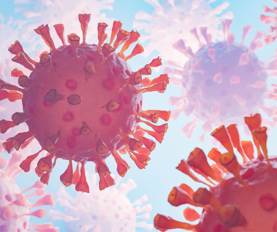 3D illustration of coronavirus particles in close-up against a light blue background