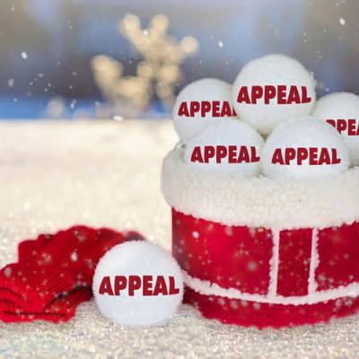 Snowballs labelled “APPEAL” stacked in a red bucket on snowy ground with red mittens nearby