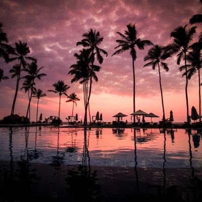 Silhouetted palm trees and poolside parasols reflected in an infinity pool at sunset under a pink and purple sky