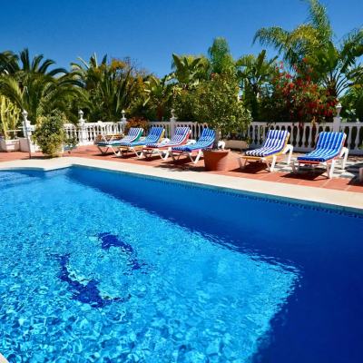 Outdoor swimming pool with blue water, sun loungers and palm trees in a resort courtyard under a clear sky