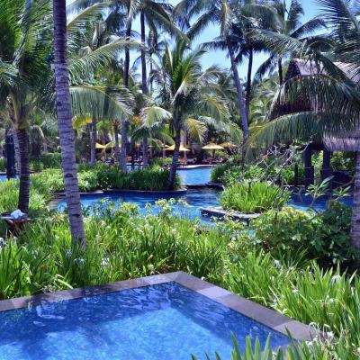 Tropical resort swimming pool surrounded by palm trees, lush gardens and sun umbrellas on a bright day