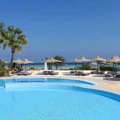 Outdoor swimming pool with sun loungers and straw parasols beside a sandy beach, with palm trees and blue sea under a clear sky