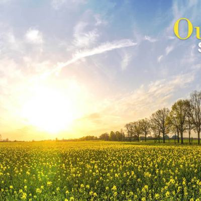 Sunrise over a yellow flower field with a line of trees on the horizon and the text “Our Story Spring 2019”